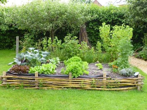 Tuinieren voor beginners: mijn eerste moestuin